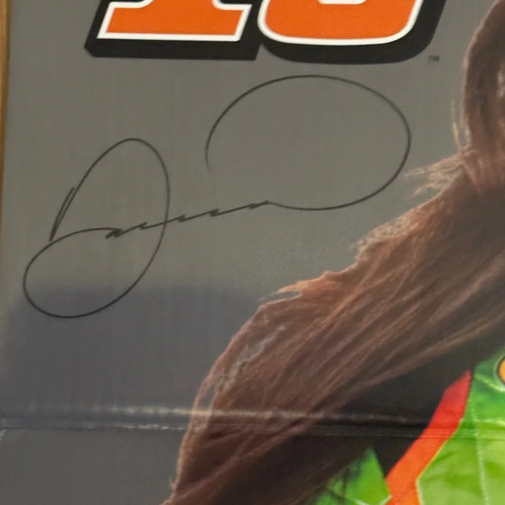 Danica Patrick life size cardboard cut out - Picture 5 of 12